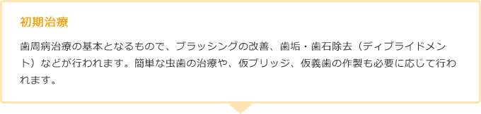 初期治療歯周病治療の基本となるもので、ブラッシングの改善、歯垢・歯石除去（ディブライドメント）などが行われます。簡単な虫歯の治療や、仮ブリッジ、仮義歯の作製も必要に応じて行われます。