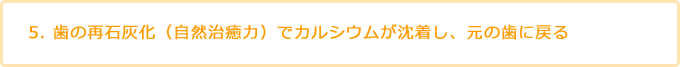5. 歯の再石灰化（自然治癒力）でカルシウムが沈着し、元の歯に戻る